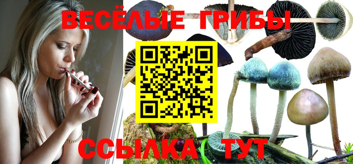 Галлюциногенные грибы GOLDEN TEACHER  Вход с VPN  Стрежевой  Галлюциногенные грибы Cubensis 