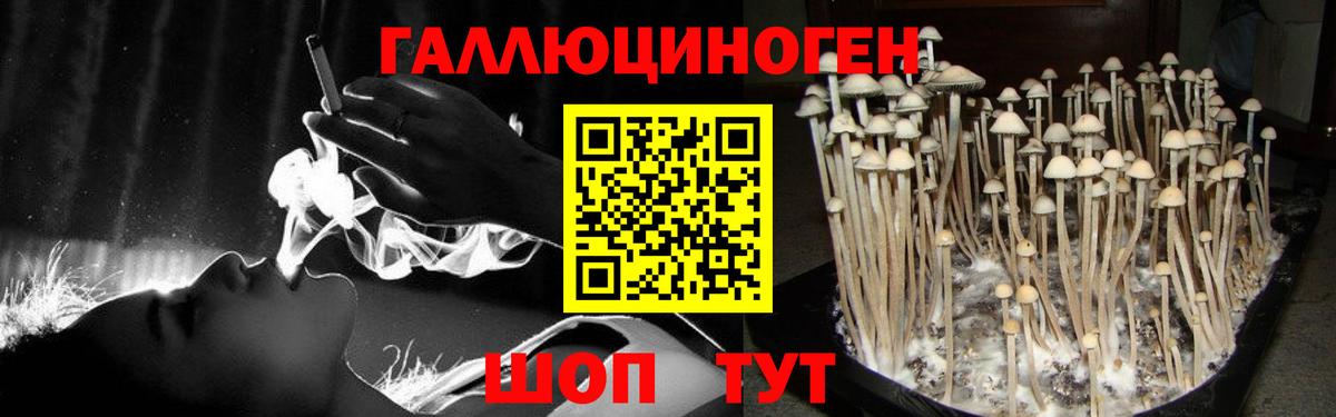 Галлюциногенные грибы мицелий Стрежевой